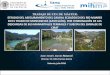 Presentación de PowerPointlluvia.dihma.upv.es/ES/publi/tfm_pfc_docs/tfm_david.pdf · Introducción Estudio del Aseguramiento del Caudal Ecológico del Río Mijares en el Tramo Montanejos,