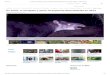 Video y Fotos En fotos: el olinguito y otras 10 especies ...labs.icb.ufmg.br/lbem/reportagens/kabomani/BBC Mundo - Video y F… · En Fotos: el mundo celebra la Nochebuena En fotos: