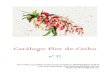 Catálogo Flor de Ceibogalgo.conectia.es/pdfweb/73.pdf · Catálogo Flor de Ceibo . nº 32 . Para realizar sus pedidos puede hacerlo al teléfono: 984189130/676 42 96 94 . o al correo