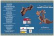 Congreso Internacional La pintura romana en Hispania€¦ · La pintura romana en los castros, el ejemplo del Chao Martín (Asturias) Olga Gago Muñiz (The Getty Foundation) 18.30-19.00