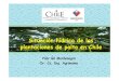 Situación hídrica de las plantaciones de palto en Chilebiblioteca.inia.cl/medios/lacruz/Congresos/Hidricapalto.pdf · - Suelos Andisoles (origen volcánico) * Da: 0.4-0.8 g/cm3