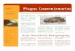 SARVF Plagas cuarentenarias PLAGAS CUARENTENARIAS*€¦ · una lista de “Plagas cua-rentenarias no presentes” publicada en el portal ins-titucional que da cuenta de las especies