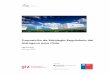 Proposición de Estrategia Regulatoria del Hidrógeno para Chile4echile.cl/.../uploads/2020/05/Prop-Estrat-Reg-Informe-Final_publicar.… · Informe Final Santiago, 27 de abril de