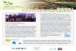 Boletín1 1 PDT... · Aliados Boletín1 Actividades del proyecto a partir de marzo 2016 - Inicio del programa de formación en tendencias agronómicas para viveros, incluyendo la