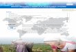 Sistemas alimentarios y COVID-19 en América Latina y el Caribe1. Editorial El sector agroalimentario es clave en América Latina y el Caribe en términos de su aporte a la economía