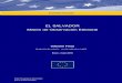 EL SALVADOR Misión de Observación Electoral · misiÓn de observaciÓn electoral EL SALVADOR, Elecciones municipales y legislativas, 4 de marzo de 2018 a la financiación privada,