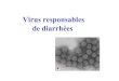 Virus responsables de diarrhéesmicrobiology.free.fr/Presentations/virusdiahree.pdf · Virus nus = résistants en milieu extérieur. 4. Clinique • Incubation courte 24-48 h •