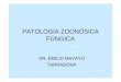 PATOLOGÍA ZOONÓSICA FÚNGICAfundacionio.org/docs/cursos/patologia_zoonosica_fungica.pdf · Enfermedad Fúngica Invasora • Eur J Clin Microbiol Infect Dis. 2005;24:61-64. • Pneumonia