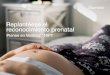 Replantéese el reconocimiento prenatal · retrasos en el desarrollo y anomalías fetales.2,3 La tasa de incidencia combinada de estas alteraciones en las primeras fases del embarazo
