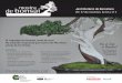 bonsai mostra de - Gremi de Jardineria de Catalunya · 2016-11-22 · mostra C/ Dr. Font i Quer, 2 Parc de Montjuïc 08038 Barcelona T. 93 256 41 60 ACTIVITATS ˜ Venda de bonsais