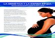 LA GENÉTICA Y LA ESPINA BÍFIDA - Spina Bifida Association · 2020-01-23 · espina bífida. El 95 por ciento de las personas con espina bífida no presentan antecedentes familiares