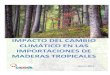 IMPACTO DEL CAMBIO CLIMÁTICO EN LAS ......Impacto del cambio climático en las importaciones de maderas tropicales Índice de Ilustraciones Ilustración 1: Datos del Índice de Producción