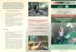 cnf.org.pecnf.org.pe/enero011/Triptico4.pdf · permiso de aprovechamiento con fines comerciales y/o industriales de productos forestales provenientes de plantaciones en cortinas rompevientos,