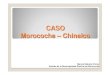 CASO Morococha – Chinalco · El proyecto minero Toromocho es de gran escala y tiene como objetivo la explotación de un yacimiento constituido principalmente por cobre y molibdeno