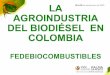 LA AGROINDUSTRIA DEL BIODIÉSEL EN COLOMBIAweb.fedepalma.org/sites/default/files/files/4 Tito... · 2015-09-25 · Capacidadinstalada& $$ 2015 2016 2017 2018 2019 2020 Oleoﬂores