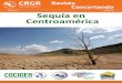 MARZO 2016 Sequía en Centroamérica · MNIGR: Honduras afectada por la Sequía MNGR: Implicaciones de la Sequía en el Corredor Seco La cara oculta de la Sequía en Centroamérica