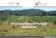 Programa Nacional Forestal PRONAFOR...VISIÓN DE LA CONAFOR Generador de riqueza. Con ecosistemas saludables y resilientes al cambio climático. Protector de la riqueza biológica