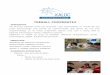 TREBALL COOPERATIU - Escola Xalocescolaxaloc.cat/wp-content/uploads/2016/07/5.4... · Responsables: Alumnes de primer de PFI de l'Etapa 16-21 (entrega febrer) i alumnes d'ESO adaptada