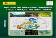 INSTITUTO DE RECURSOS NATURALES Y - Digital CSICdigital.csic.es/bitstream/10261/34304/1/MemoriaIrna2001.pdf · 2019-12-19 · instituto de recursos naturales y agrobiología 1.–
