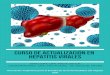 Curso de actualización en hepatitis virales - SANsan.org.ar/...Curso_actualizacion_Hepatitis_2019.pdf · Patrones clínicos graves de hepatitis virales: hepatitis aguda grave, hepatitis