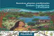 San José de Payaminoinabio.biodiversidad.gob.ec/wp-content/uploads/2020/06/GUÍA_DIDA… · Kichwa así como las características, formas de pre-paración y usos, de las plantas