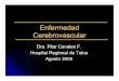 Enfermedad Cerebrovascular - utalcapifrecv.utalca.cl/docs/eventos/conferencias/dia_5/... · Enfermedad Cerebrovascular Dra. Pilar Canales F. Hospital Regional de Talca Agosto 2005