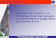 ORGANIZACIÓN DEL SERVICIO DE PREVENCION DE RIESGOS ... · • 3- Información y consulta a los Delegados de Prevención y Salud Laboral • 4- Prueba piloto – Objetivo: depurar