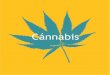 Cánnabis - CODAJIC - Marihuana - I… · lo largo de la historia un uso medicinal y recrea-tivo. En Europa nunca tuvo mucha importancia el uso medicinal ni tampoco el recreativo