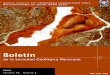 portada BSGM 71-1boletinsgm.igeolcu.unam.mx/bsgm/docs/portadas/portada-7101-old.pdfBoletín de la Sociedad Geológica Mexicana 2019 Volumen 71 Número 1 ISSN 1405-3322 Número especial:
