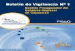 Gestión Presupuestal del Gobierno Regional de …...Gestión Presupuestal del Gobierno Regional de Cajamarca Cajamarca, Mayo del 2009 Centro Ecuménico de Promoción y Acción Social