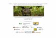 Taller para la Elaboración de una Estrategia de ... · para la Elaboración de una Estrategia de Conservación del Tapir Centroamericano (Tapirus bairdii). 7-11 de febrero, 2018