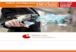 Análisis estratégico para el desarrollo de la PYME en España · Análisis estratégico para el desarrollo de la PYME en España: internacionalización y orientación emprendedora