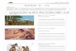 caohvallenar.cl · Web view2020/05/07  · Identificar las principales características de las Etapas Prehistóricas A partir del análisis de las imágenes deduce información y