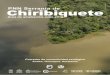 hiribiquete - FCDS Conservación y Desarrollofcds.org.co/site/wp-content/uploads/2018/07/hoja_inform...concentró el 65 % de la deforestación del país, en el 2017. Allí, la perdida