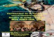 Hermandad de la Vera+Cruzveracruzcadiz.es/wp-content/uploads/2017/12/Cartel_Programa-2.pdf · recital de villancicos que como anuncio de la Navidad, organiza el Ateneo en las instalaciones