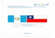 MINISTERIO DE ECONOMÍA VICEMINISTERIO DE INTEGRACIÓN Y ... · US$ -0.3 millones en 2012 a US$- 13.2 millones en 2016. Sin embargo, algunos de los productos que Guatemala ... la