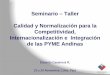 Portal de la Comunidad Andina - Seminario – Taller Calidad y … · 2007-01-23 · Seminario – Taller Calidad y Normalización para la Competitividad, Internacionalización e