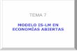 TEMA 7 - USALcampus.usal.es/~ehe/perote/documentos/Macro II Tema 7.pdfEn el tema anterior analizamos el tipo de cambio como si fuera un instrumento de política económica. Sin embargo