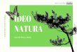 Helena Coscollano 1 - esoesciencia.files.wordpress.com › 2019 › 06 › ... · Crea una carpeta en Google Drive con el nombre Proyecto IDEO Natura. En adelante guarda en ella toda