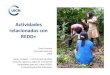 Actividades relacionadas con REDD+ › doc › meetings › for › wscb-redfd... · pueblos indígenas en el marco del Programa de Inversión Forestal – FIP . Perú, México y