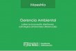 Maestría Gerencia Ambiental€¦ · La Maestría en Gerencia Ambiental (MGA) de la Facultad de Administración de la Universidad de los Andes, creada en el año 2008, forma líderes