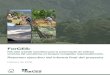 ForCES - Forest Stewardship Council · Pumalín; y Junta de Vecinos de Lajas Blancas. Indonesia: WWF Indonesia, Ministerio de Silvicultura; Lembaga Ekolabel Indonesia (LEI). Nepal:
