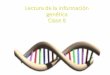 Lectura de la información genética Clase 8 · Sitio de unión del aminoácido Triplete aceptor Nucleótidos apareados 0000 0000 Puentes de hidrógeno òoôo Estructura terciaria