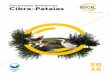 Declaração Ambiental Cibra-Pataias · IX. Programa Ambiental 2017 49 X. Glossário 50-51 XI. Declaração do Verificador Ambiental sobre 52 as Atividades de Verificação e Validação