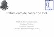Tratamiento del cáncer de Piel.catedradermatologia.webs.fcm.unc.edu.ar › ... › Tratamiento-cancer-d… · CANCER DE PIEL Introducción: ' Se observa un incremento en los últimos