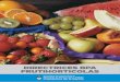 Directrices BPA frutihorticolAs€¦ · de Acondicionamiento, Empaque, Almacenamiento, Transporte y punto de venta de Frutas y Hortalizas Frescas. La adopción de las Buenas Prácticas