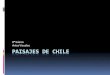 Paisajes de Chilechacao.colegiosannicolas.cl/wp-content/uploads/... · El lago Chungará es un lago ubicado en la Provincia de Parinacota, Región de Arica y Parinacota, en el extremo