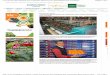 FreshPlaza: Noticias del sector de frutas y verduras · central de envasado de naranjas de la Vall d’Uixó a Picassent, con instalaciones más modernas y mayor capacidad que permite