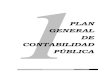 PLAN GENERAL DE CONTABILIDAD PÚBLICA · PLAN GENERAL DE CONTABILIDAD PÚBLICA 2.9.1.2.2 Operaciones de financiamiento e instrumentos derivados 2.9.1.2.3 Cuentas por pagar 2.9.1.2.4