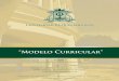 “Modelo Curricular” - UQROOsigc.uqroo.mx/04_documentos_generales/modelo_curricular/modelo... · Dr. Alejandro Alvarado Herrera Director de la División de Desarrollo Sustentable